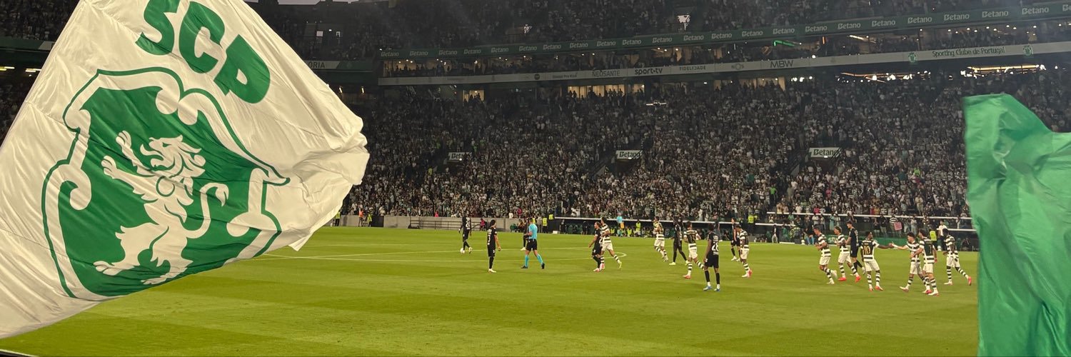 acarinacarvalho's profile banner image