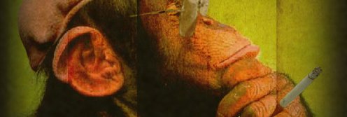 kimrotu's profile banner image