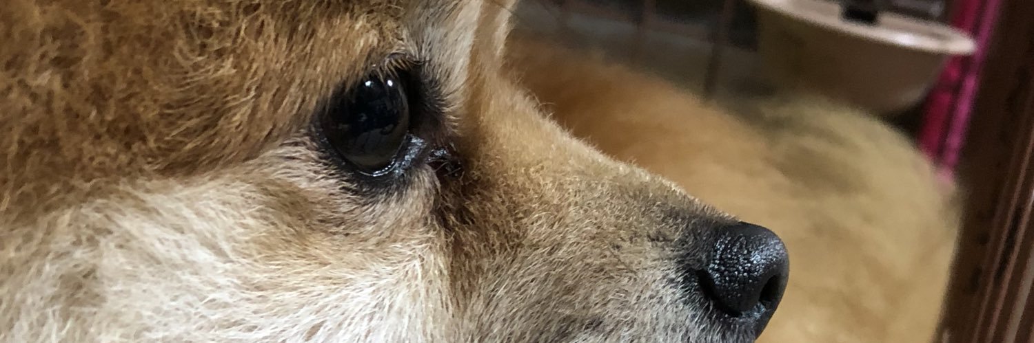 mamesuke0708's profile banner image
