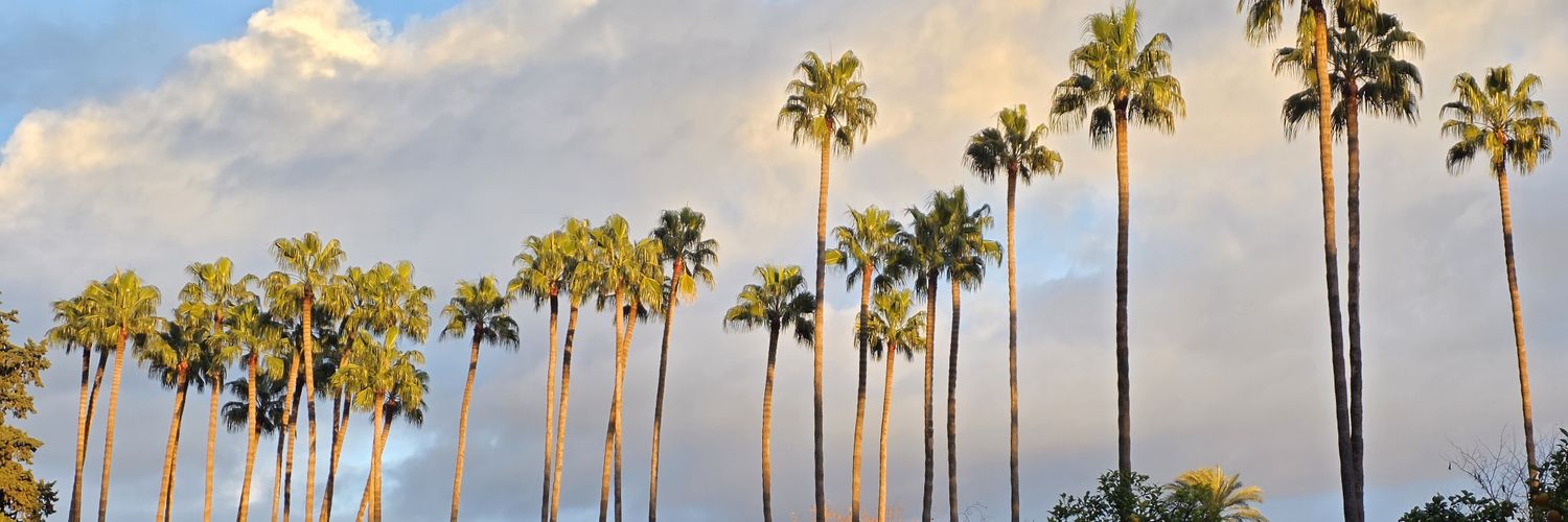 LucDuNum 🏳️‍🌈 banner