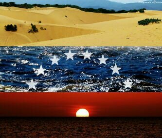 Tiburon banner