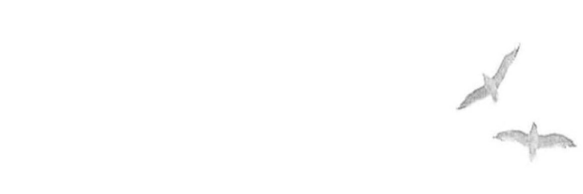 غــآية . banner