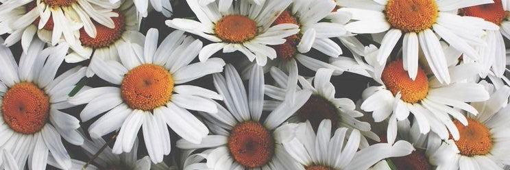 juliiamesa98's profile banner image