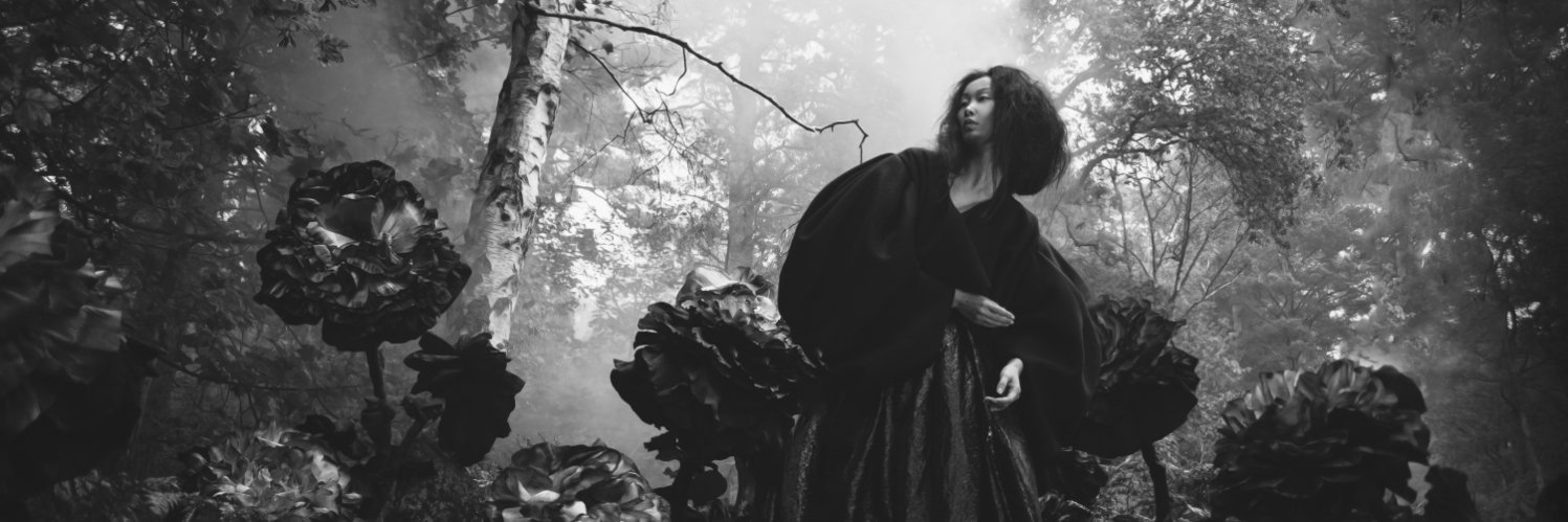TissueBlossoms's profile banner image