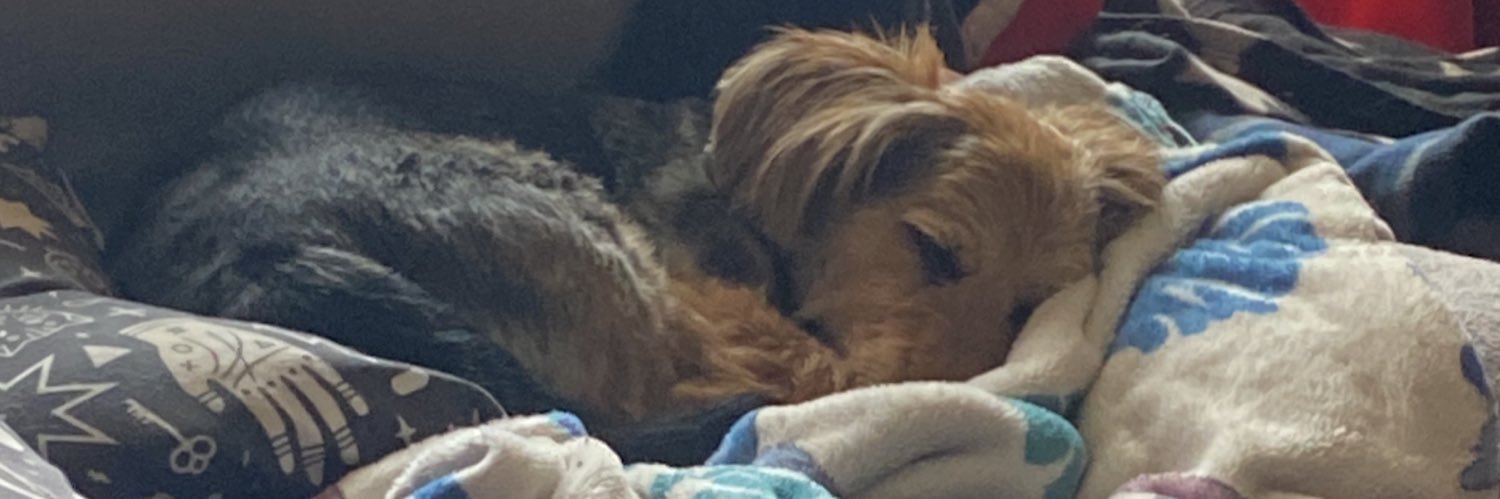 KittyDotty's profile banner image