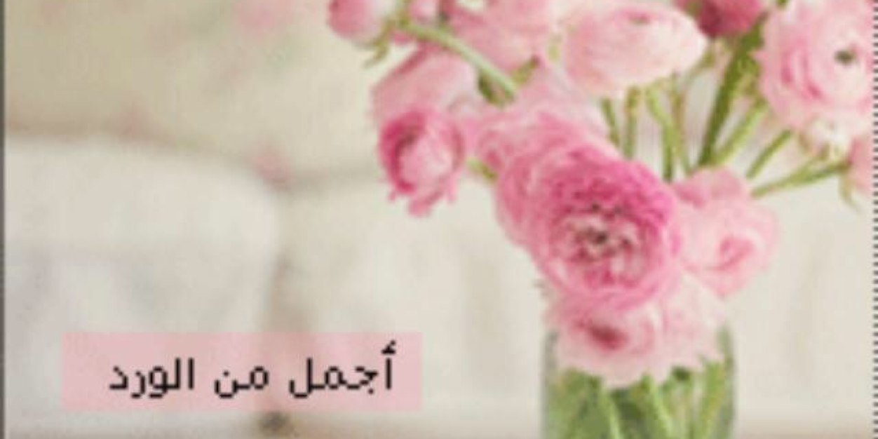 alshlaqi_007's profile banner image