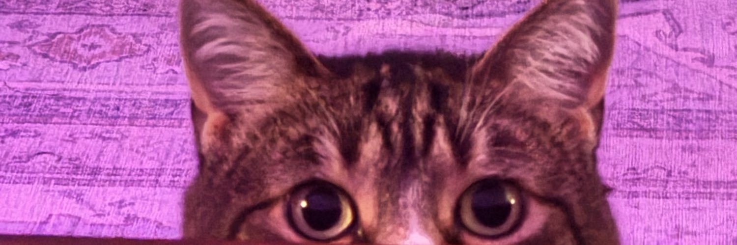 dapwheat's profile banner image