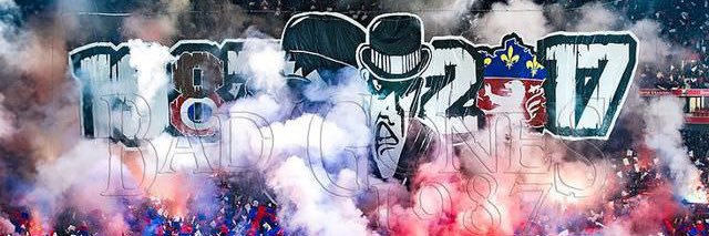 mc fly ⭐️⭐️ banner