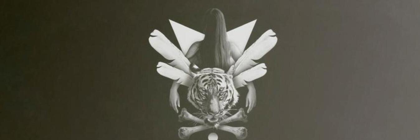 Evy_Ortega's profile banner image