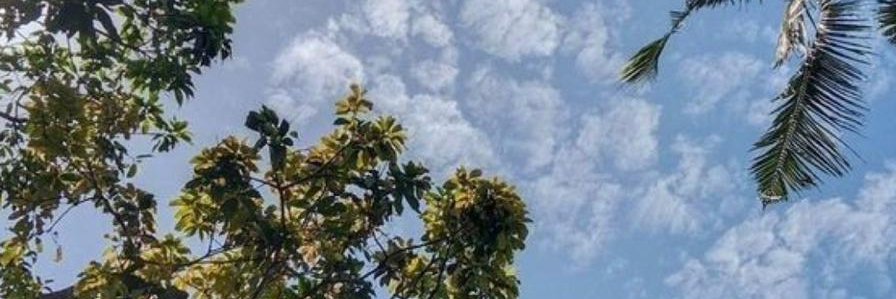 djceykan's profile banner image