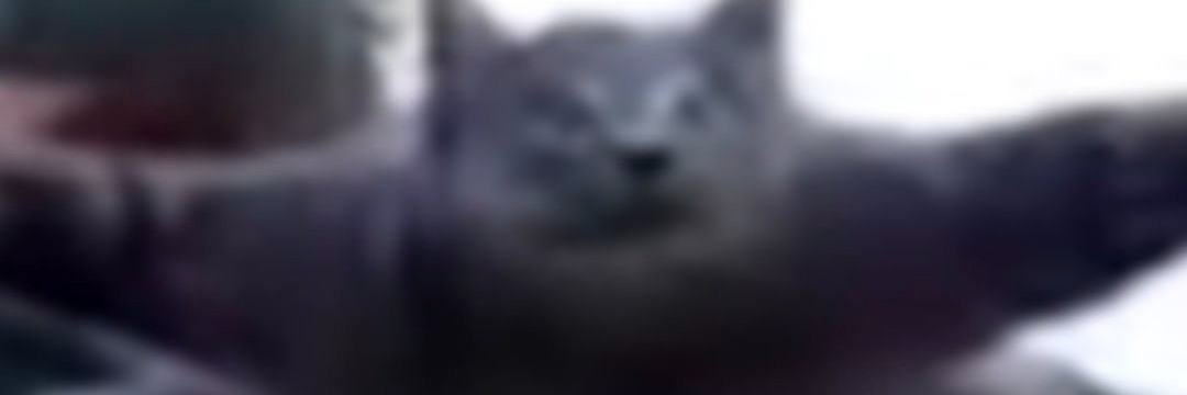 Ythunderplayz's profile banner image