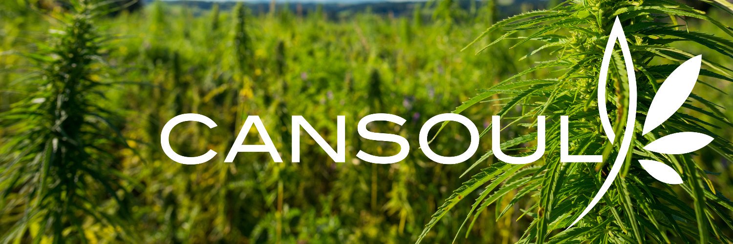 cansoulfinance's profile banner image