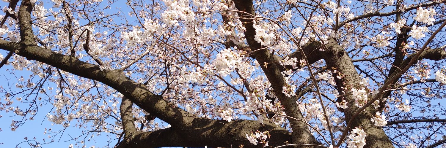 リョーコー banner