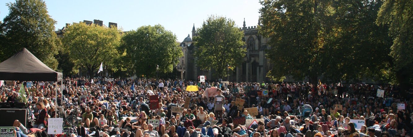 milly 🌱🌿 banner