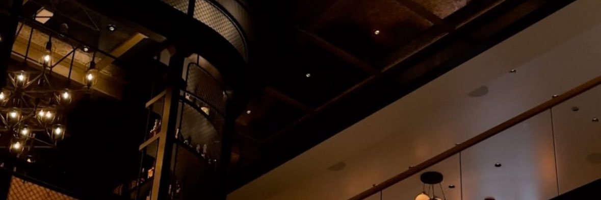 ashley lauren's banner