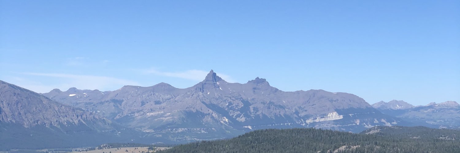 Mike Goldinger banner