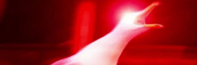 Теневой🌭 banner