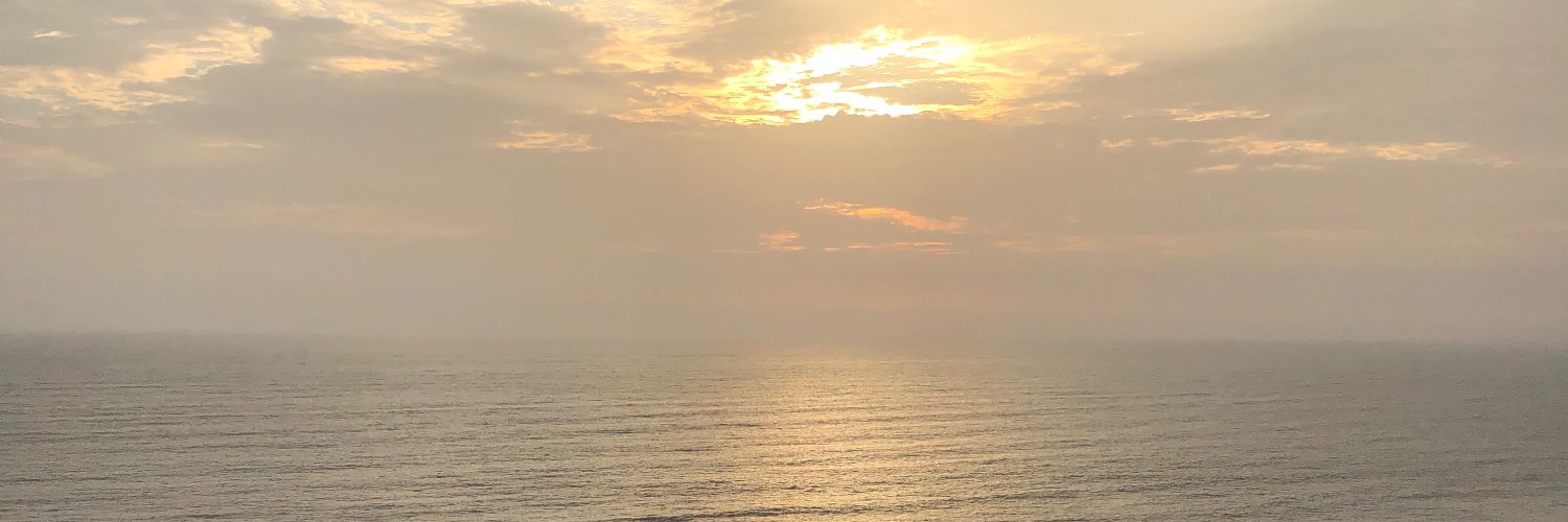 mollymoon100's profile banner image