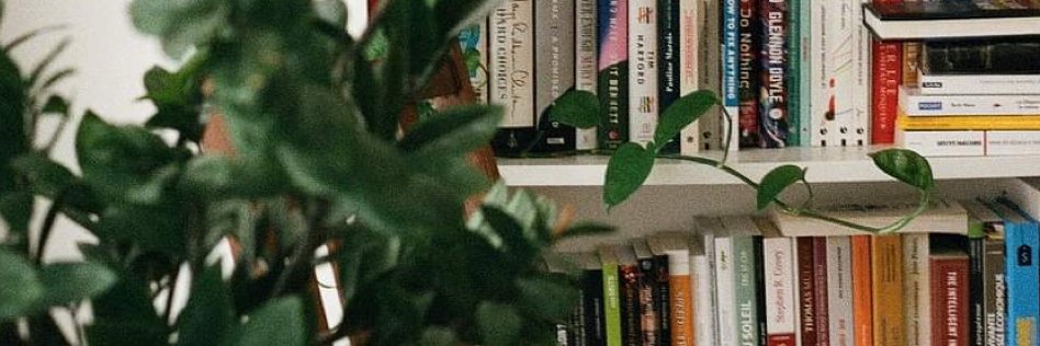 Clémence Pavic banner