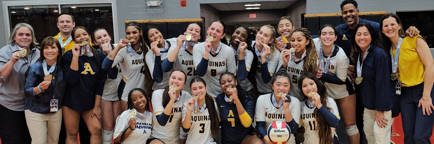 STA Raider VB banner
