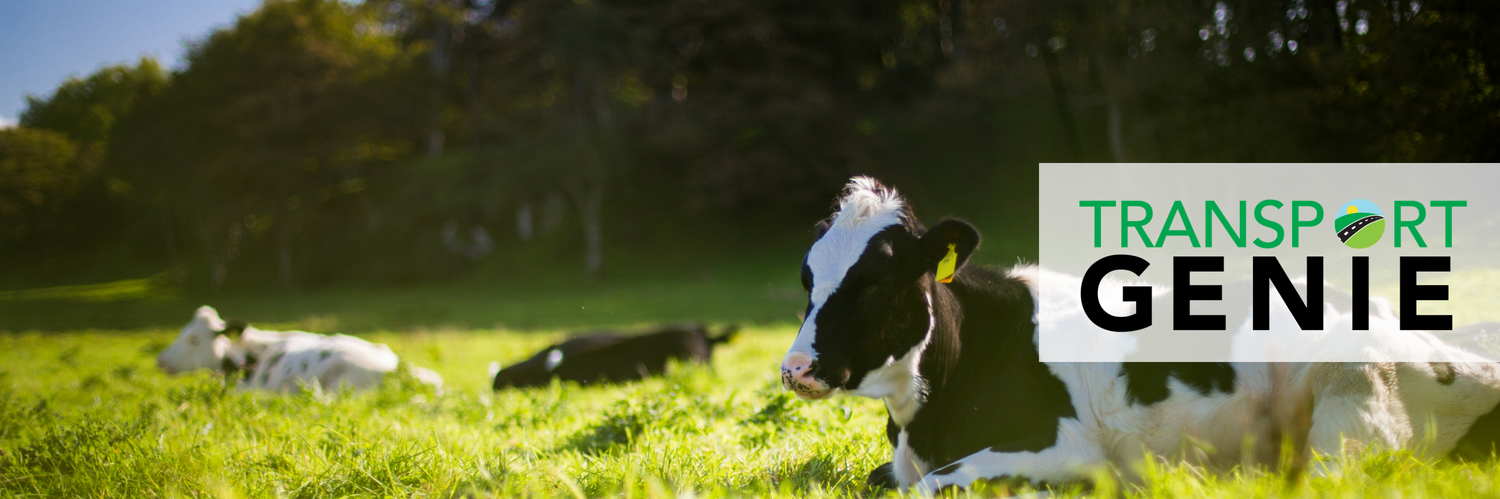 Transport Genie banner