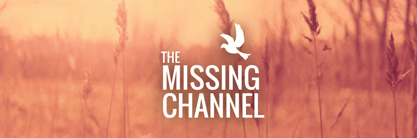 MissingChannel1's profile banner image