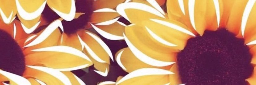 yeraldine9293's profile banner image