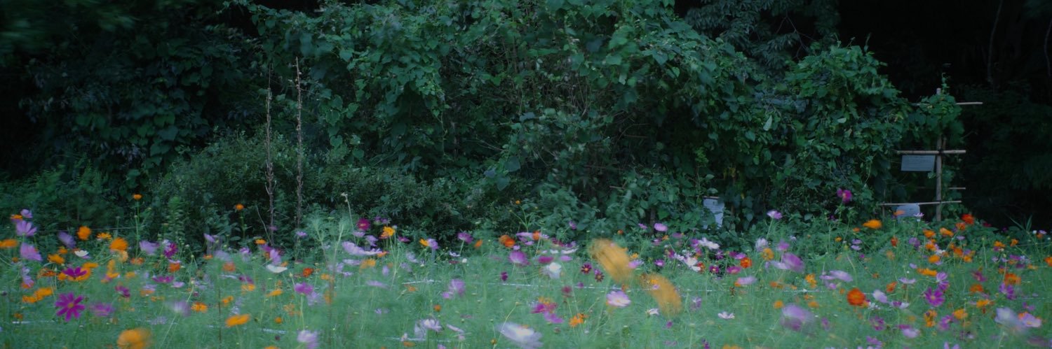salistsaru's profile banner image