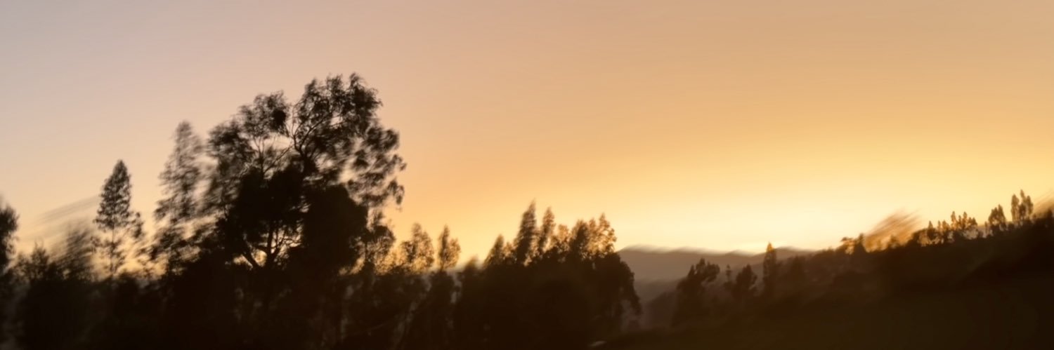 LauraMelissa banner
