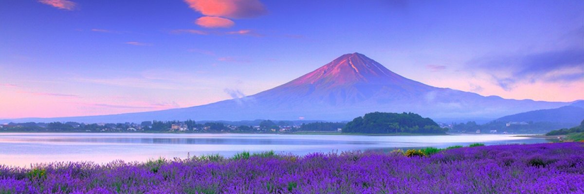 lvxjp's profile banner image