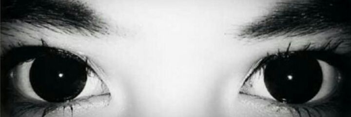 shellyputrityan's profile banner image