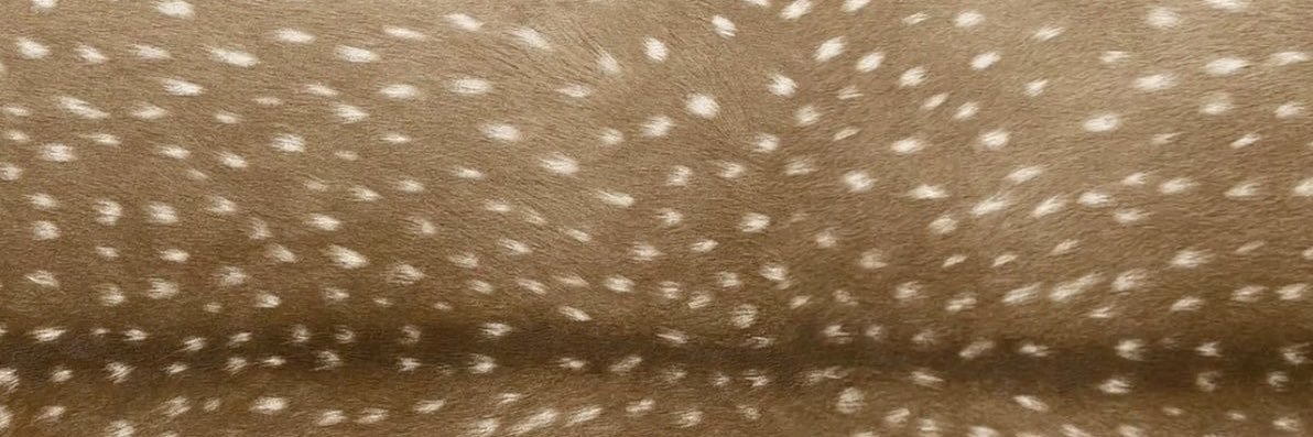 ianasturtium's profile banner image
