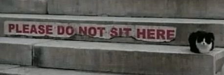 Flibidi 🤘 💸 banner