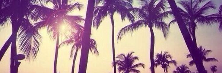 abril ⋆𐙚₊˚ banner
