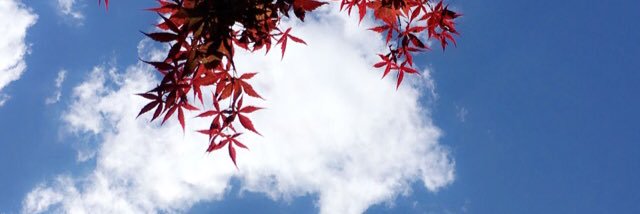 Anushka_s89's profile banner image