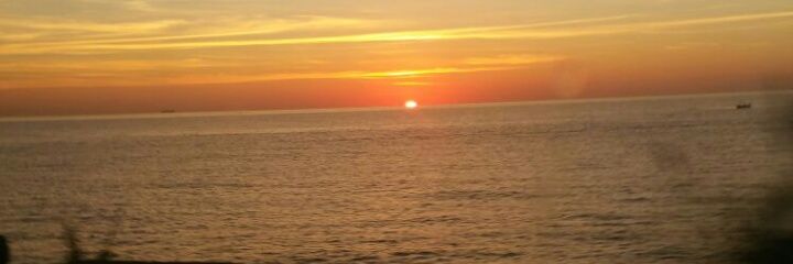 Susana Bellver Vidal banner