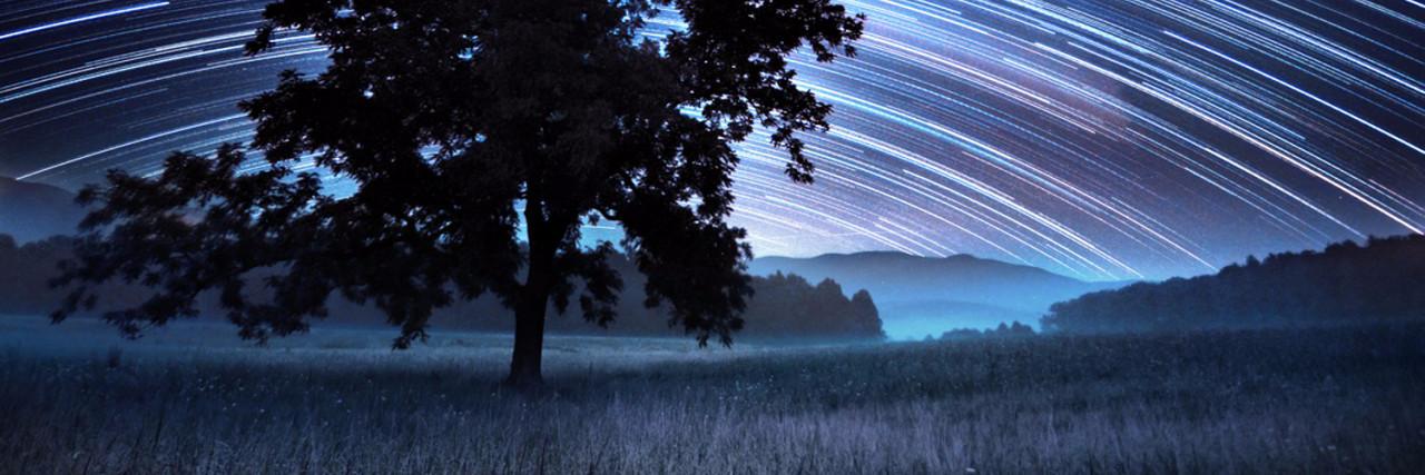 Allison Dulin Salisbury banner