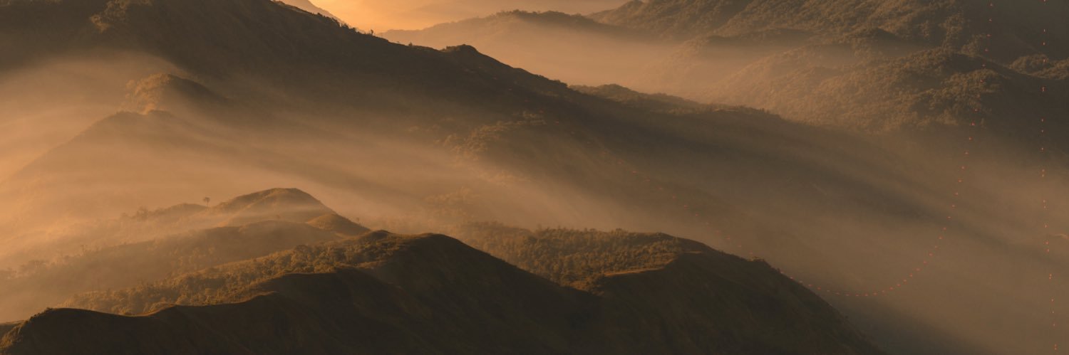 offtography banner