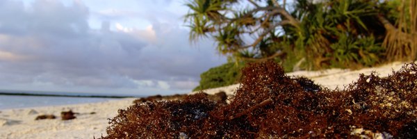 BurneTom Profile Banner