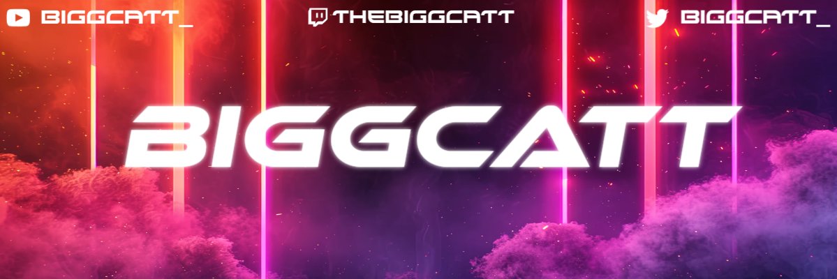 👑BiggCatt banner