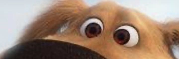 Camila Aventurera🕊️ banner