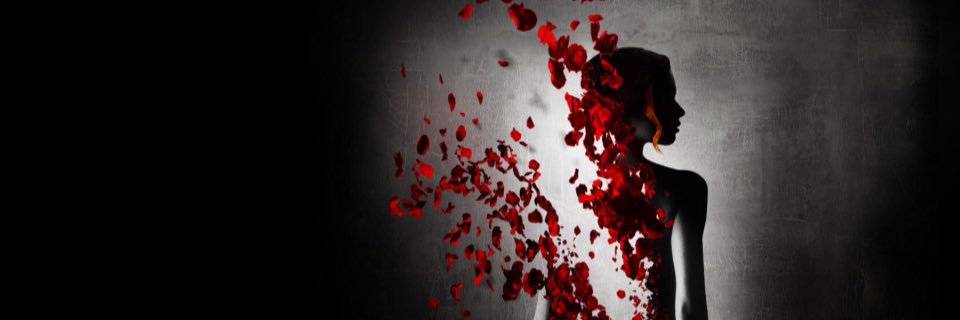 BlackRoseFlynn's profile banner image