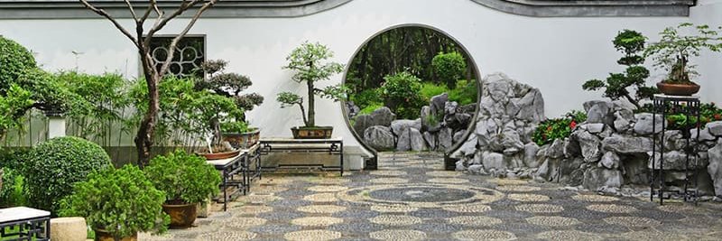 Dr Benjamin Wong banner