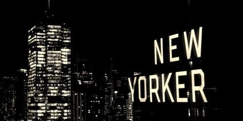 ReneeHakeem5's profile banner image