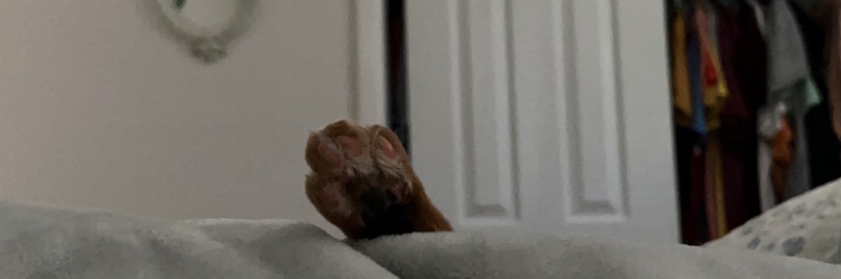 Sarah banner