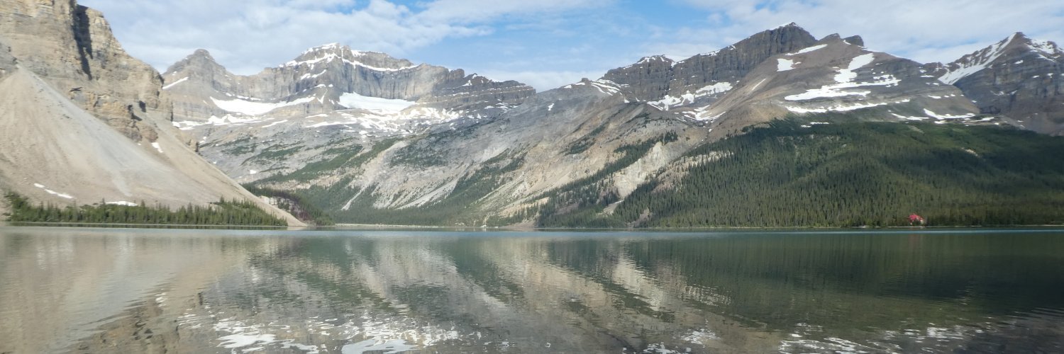 alaccetti's profile banner image