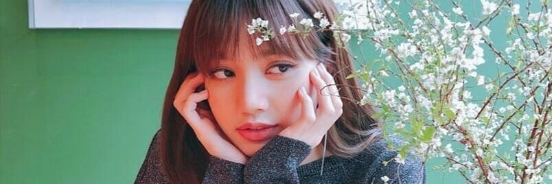 เจ๊'ล'ลิสา .ฯ banner
