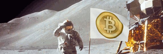 Nutts.eth banner