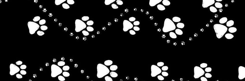 VanitaMC's profile banner image