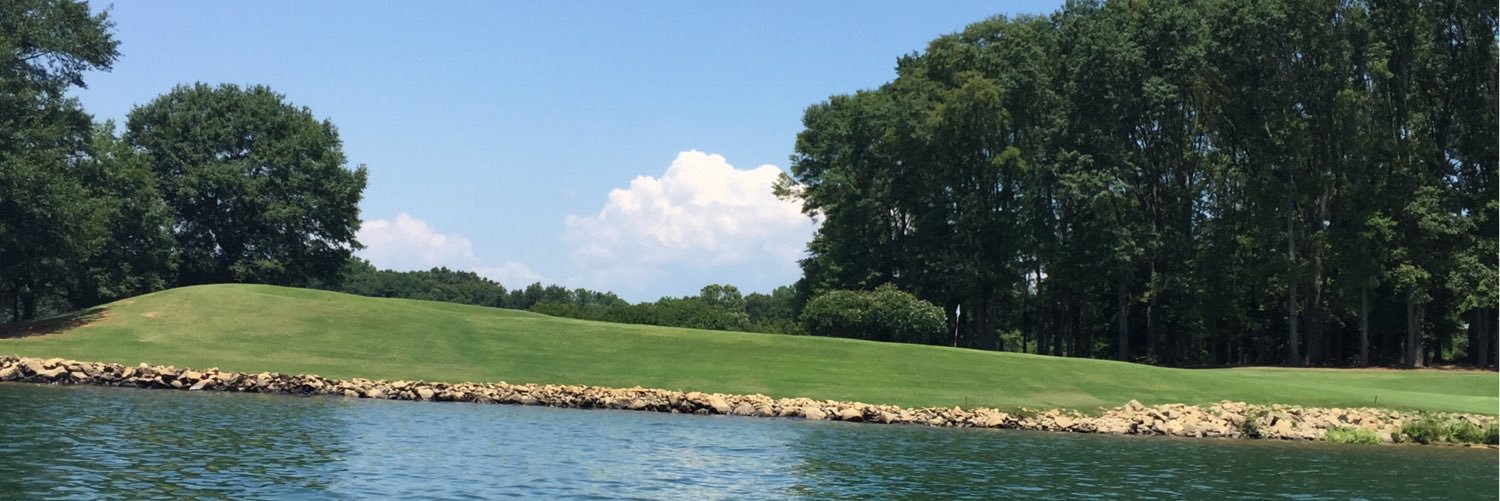 PhylDavidson's profile banner image